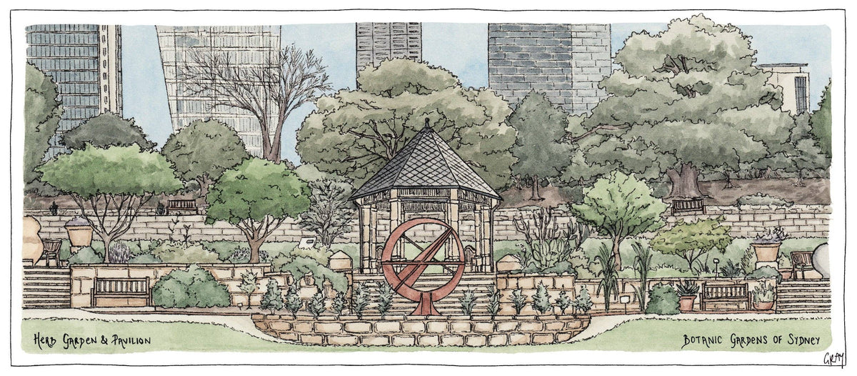 The Herb Garden of the Botanic Gardens Sydney - Postcard