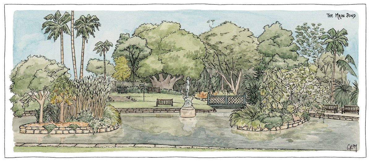 The Main Pond of the Botanic Gardens Sydney - Postcard