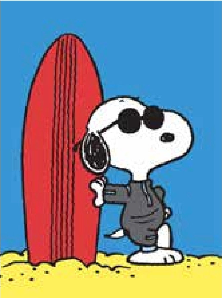Snoopy Surfboard Mini Greeting Card