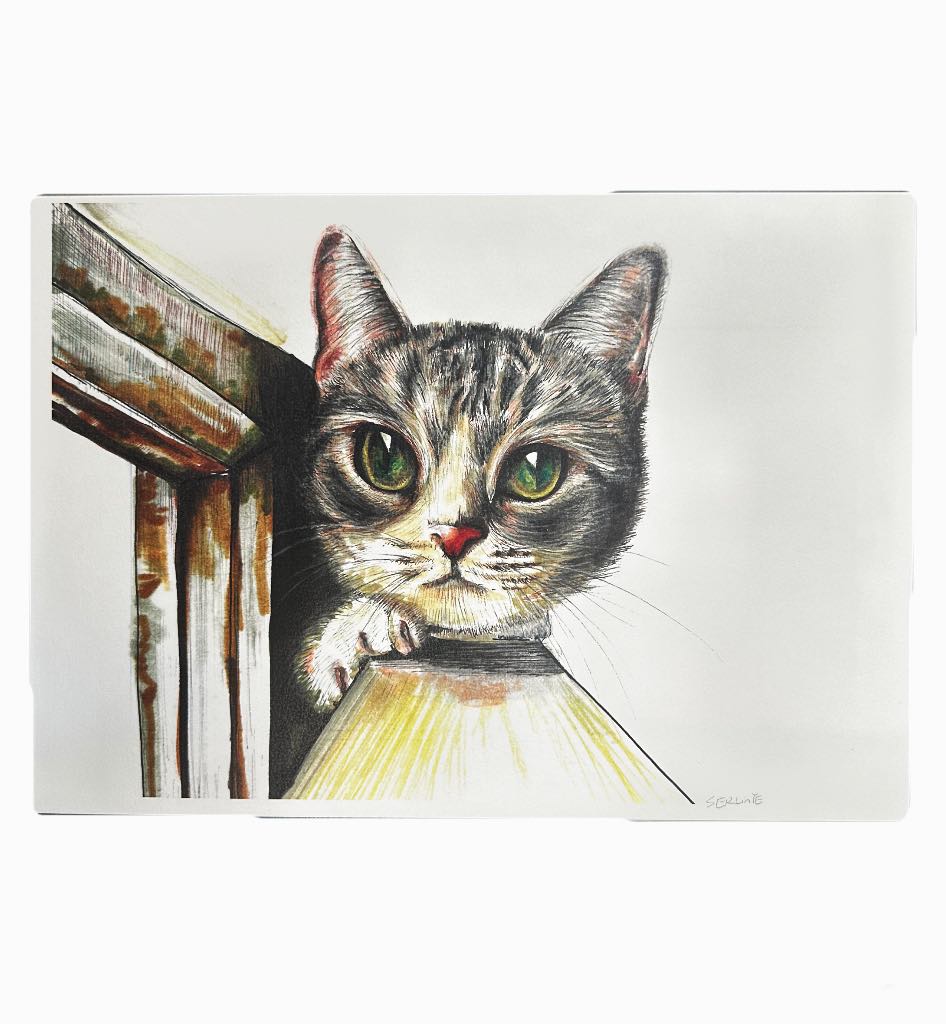 Cute Kitten Print - Mu Shop