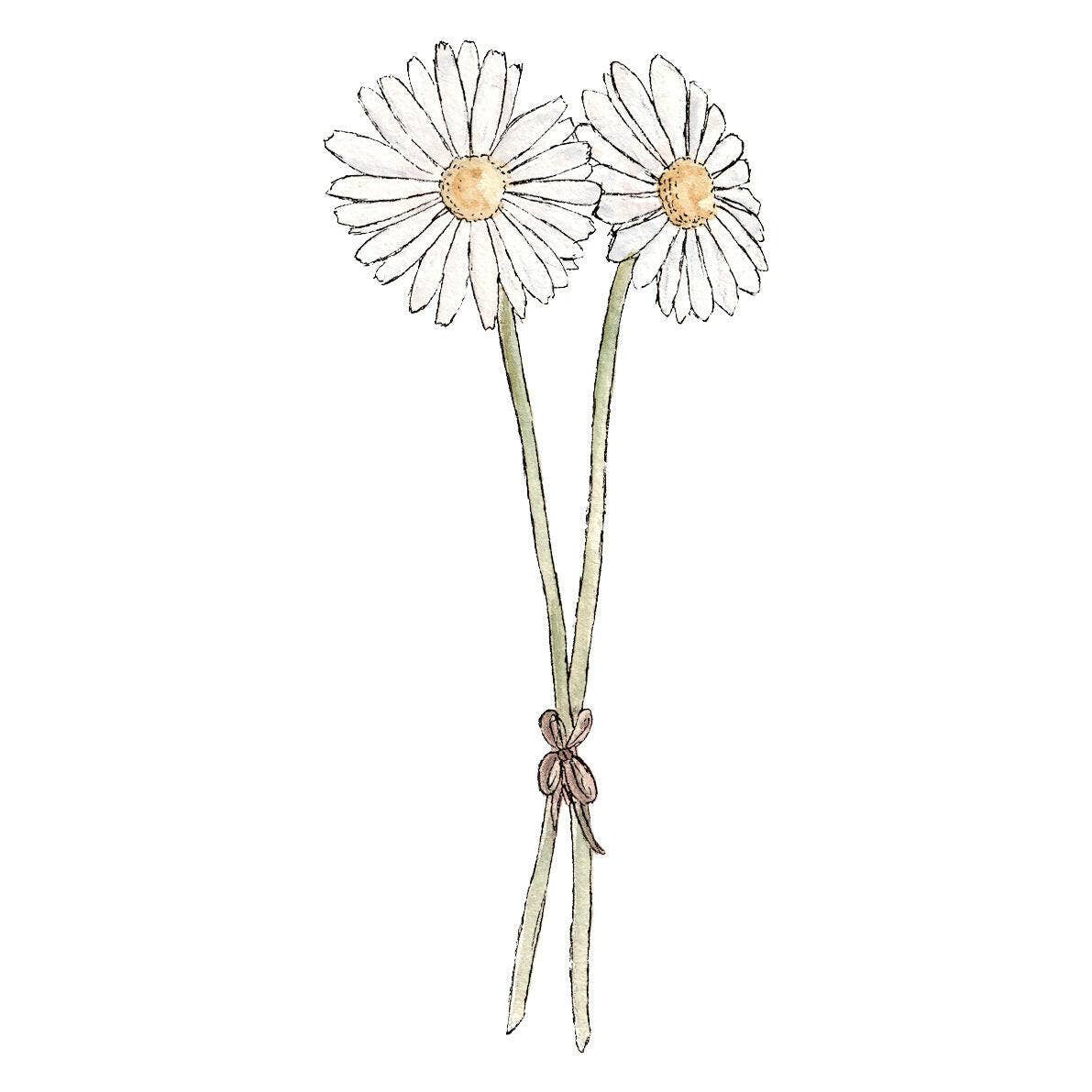 Daisies - Greeting Card