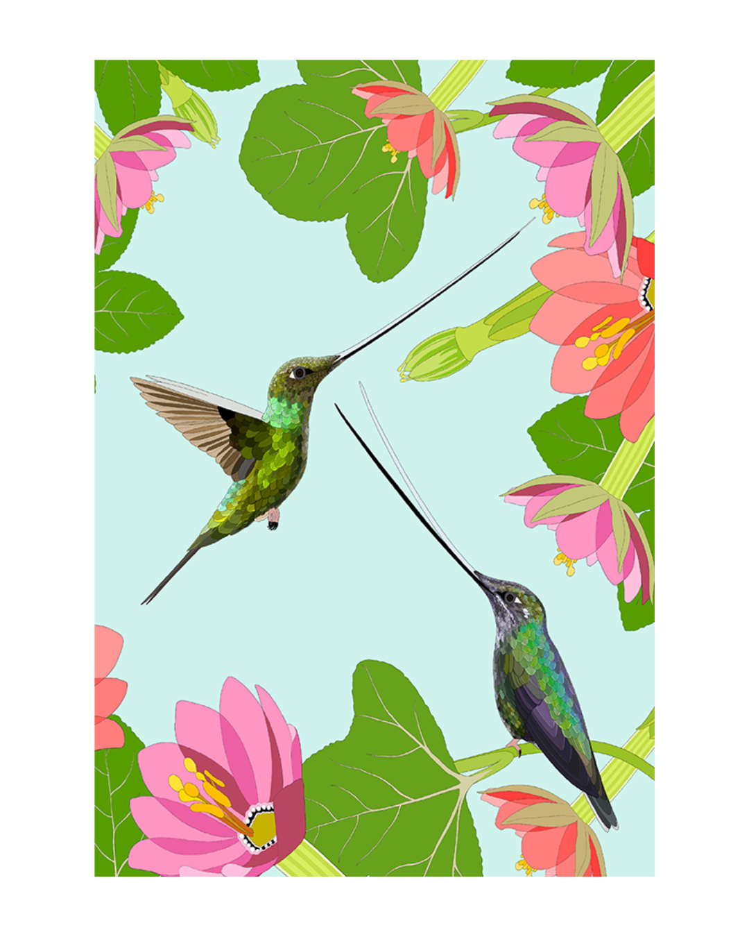 Sword-billed Hummingbird Greeting Card