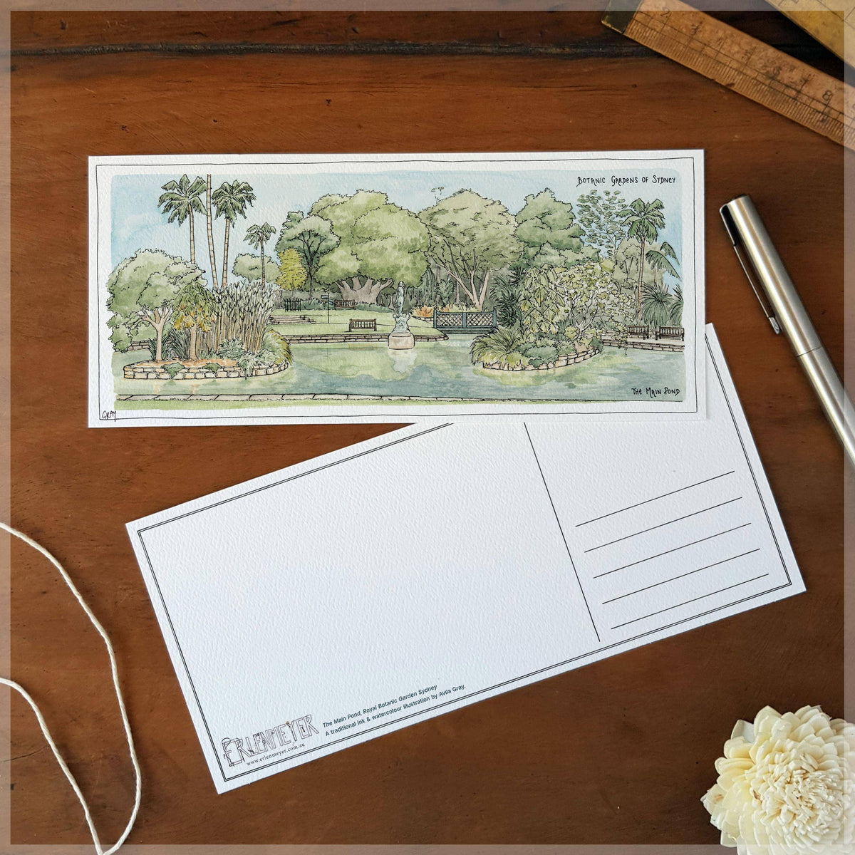 The Main Pond of the Botanic Gardens Sydney - Postcard